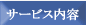�T�[�r�X���e